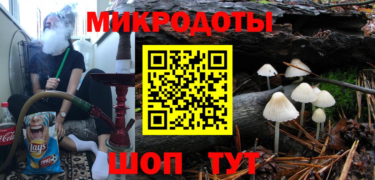 Псилоцибиновые грибы Cubensis Переславль-Залесский